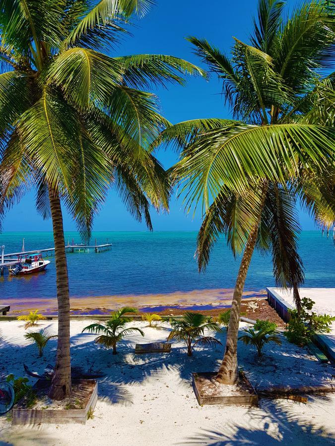 Carolyn'S House Villa Caye Caulker Ngoại thất bức ảnh
