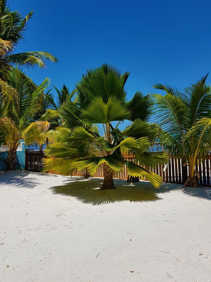 Carolyn'S House Villa Caye Caulker Ngoại thất bức ảnh